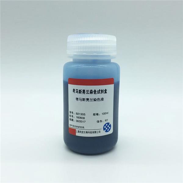 考馬斯亮藍染色液