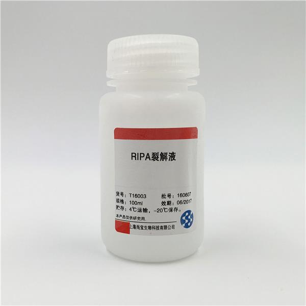 RIPA裂解液（強）