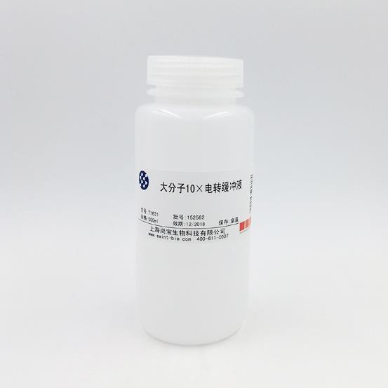大分子10×電轉(zhuǎn)緩沖液