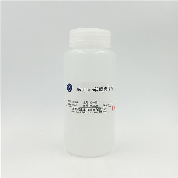 Western轉膜緩沖液