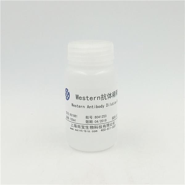 Western Antiboby Dilution Buffer Western抗體稀釋液