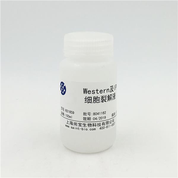 Western及IP細胞裂解液