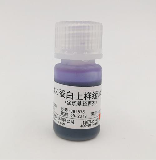 4×蛋白上樣緩沖液（含巰基還原劑）