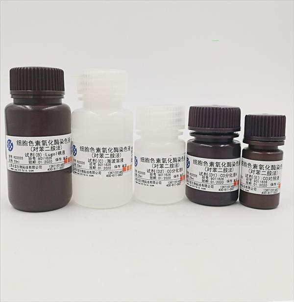 細胞色素氧化酶染色液（對苯二銨法）