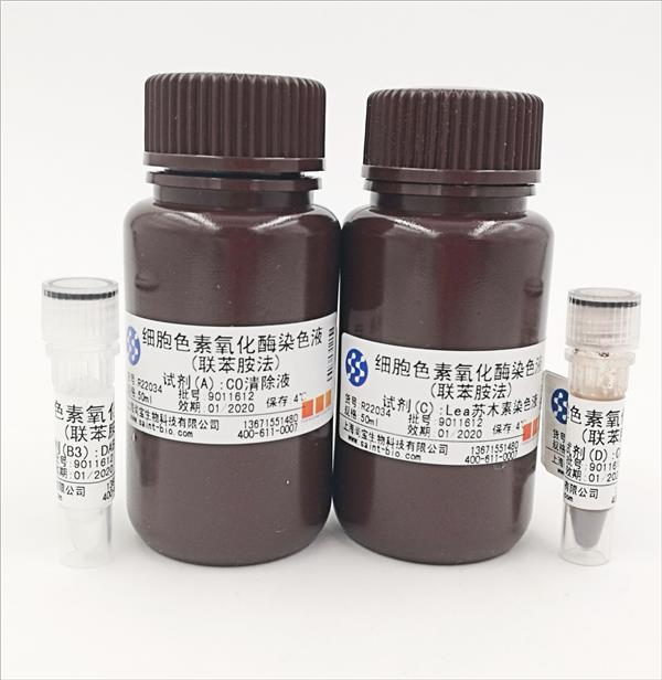 細胞色素氧化酶染色液（聯(lián)苯胺法）