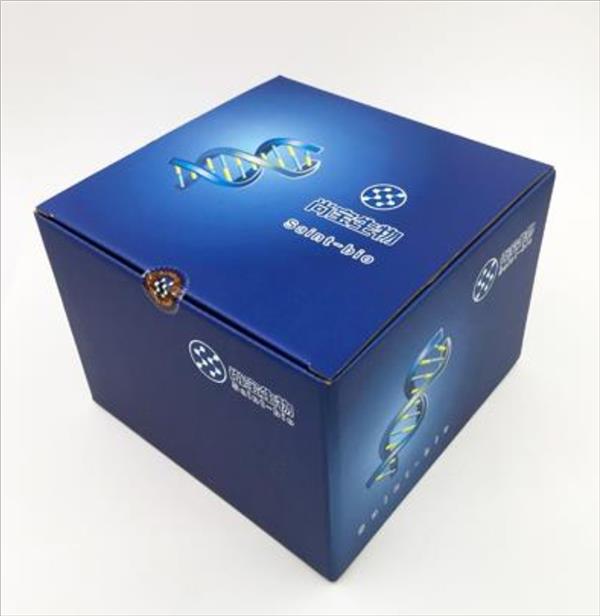 細胞周期與細胞凋亡檢測試劑盒