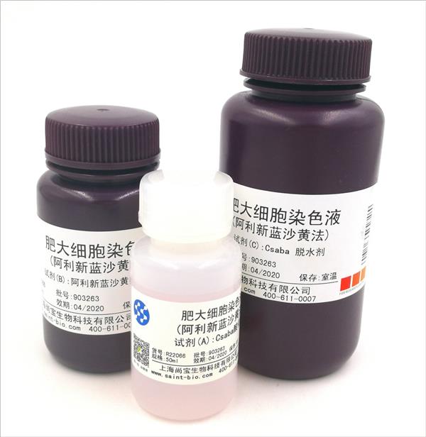 肥大細胞染色液（阿利新藍沙黃法）