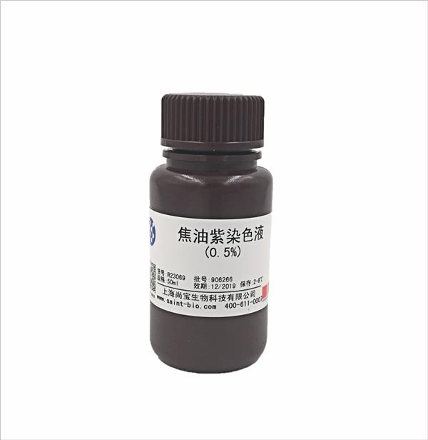 焦油紫染色液（0.5%）